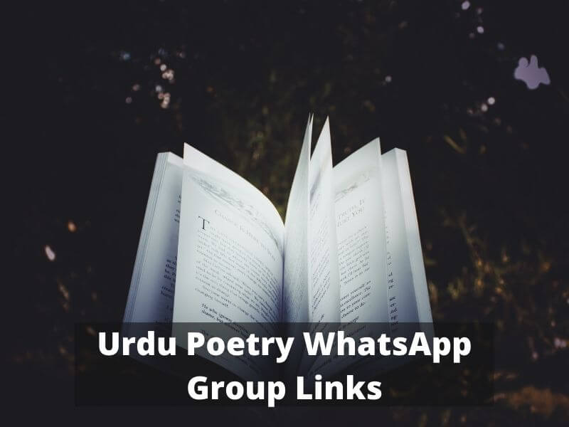 Urdu Poetry WhatsApp Group Links